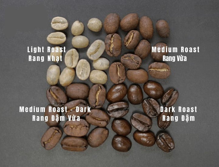 Cách chọn cà phê đúng gu - Tìm hiểu cấp độ rang cà phê phổ biến 2 4cap-do-rang-mau-caffe-730x550px