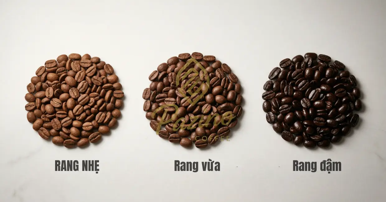 pazinocoffee-cong-nghe-rang-cafe-hien-dai-02-1240x650px