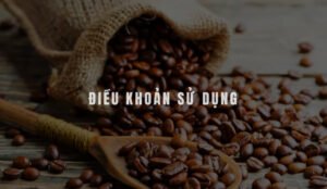 Điều khoản sử dụng