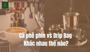 Cà phê phin vs Drip Bag: Khác nhau thế nào? Đâu là lựa chọn tốt hơn??